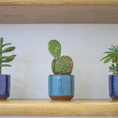 Babbaluci - Centro Storico לינה וארוחת בוקר 3*